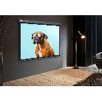 Экран Cactus 149.4x265.7см Wallscreen CS-PSW-149X265-SG 16:9 настенно-потолочный рулонный серый, фото4