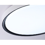 Потолочный светодиодный светильник Ambrella light FZ1247 WH/BK белый/черный IP54 20W 5000K D300*60 (Без ПДУ), фото7