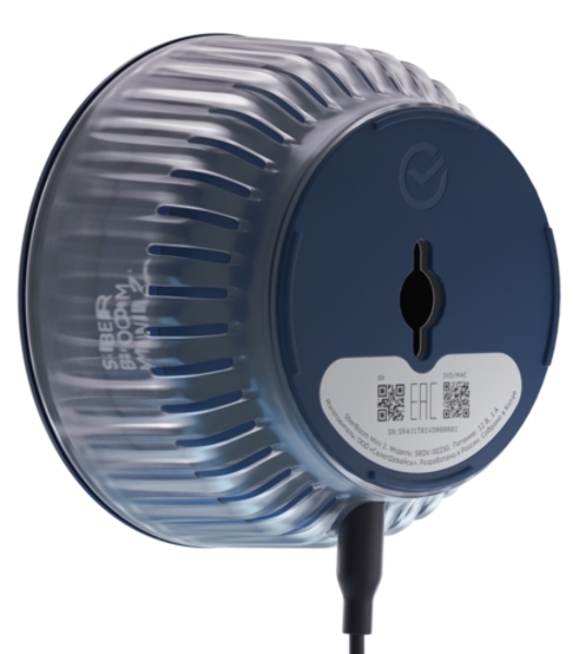 Умная колонка SBER Boom Mini 2, 5Вт, компактная, 1 динамик, GigaChat, Magnetic Sound, Мультирум, Детектор шума, Wi-Fi, Bluetooth 5.0, Салют, синий