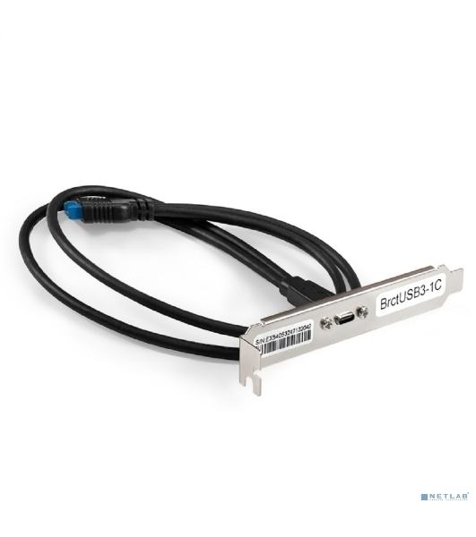 Планка портов в корпус Type-C ExeGate BrctUSB3-1C (USB 3.2 Gen1 20pin (IDC 20pin F) --> USB 3.2 Gen1 Type-Cf, кабель 30 см)