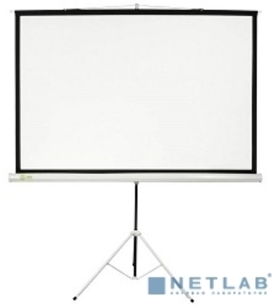 Экран Cactus 127x127см Triscreen CS-PST-127X127 1:1 напольный рулонный белый