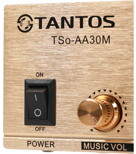 Усилитель Tantos TSo-AA30M выход 100Вт/30Вт