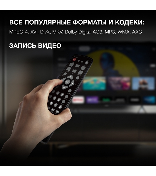 Цифровой TV ресивер HYUNDAI H-DVB240 черный