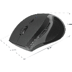 Мышь беспроводная Defender Accura MM-295 черный, 1600 dpi, радиоканал, USB, кнопки - 6, фото5