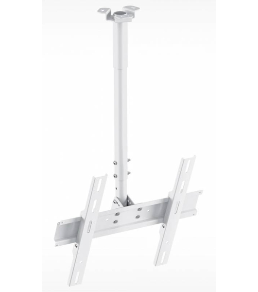 Кронштейн для телевизора Holder PR-101-W белый 32'-65' макс.60кг потолочный фиксированный