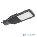 Светильник LED ДКУ 1002-100Д 5000К IP65 серый LDKU0-1002-100-5000-K03 IEK, фото3