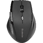 Мышь беспроводная Defender Accura MM-365 черный, 1600 dpi, радиоканал, USB, кнопки - 6, фото2