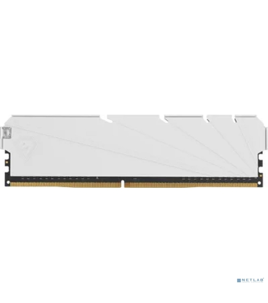 Оперативная память NETAC, DDR4, 8GB (1x8GB), 3200MHz, CL16, DIMM, с радиатором, белый