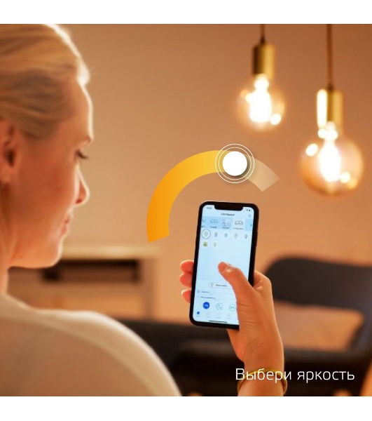 Лампа светодиодная филаментная Gauss Smart Home DIM E27 A60 7 Вт 1/10/40