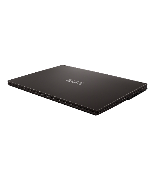 Ноутбук Osio CyberLine C160i-003 коричневый Core i5 12600H 16Gb SSD 512Gb NVIDIA GeForce RTX 4060 8Gb 16' IPS WUXGA (1920x1200) noOS WiFi BT Cam 3410mAh
