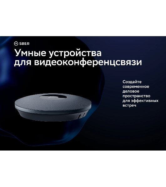 Микрофон Sber SDMIC-001