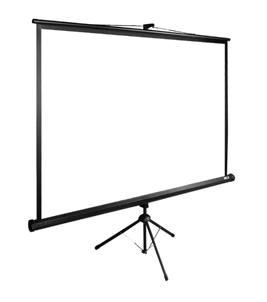 Экран Cactus 200x200 см TriExpert CS-PSTE-200х200-BK 1:1 напольный рулонный