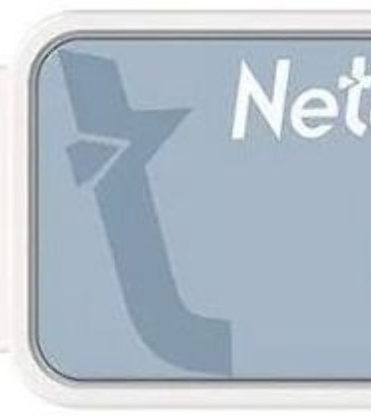 Флешка USB Netac UA31 (NT03UA31N-016G-20BL), 16Gb, USB 2.0, R/W 110/45, синий/белый