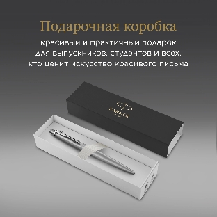 Ручка шариковая Parker Jotter Monochrome XL SE20 (CW2122756) Stainless Steel, M, синие чернила, подарочная коробка