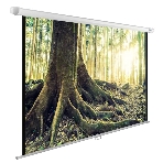 Экран Cactus 220x220см WallExpert CS-PSWE-220x220-WT 1:1 настенно-потолочный рулонный, фото2