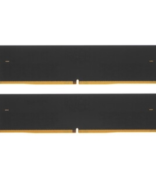 Оперативная память Patriot Signature, DDR5, 32GB (1x32 GB), 4800 MHz, CL40, DIMM