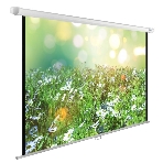 Экран Cactus 200x200 см WallExpert CS-PSWE-200x200-WT 1:1 настенно-потолочный рулонный, фото 1