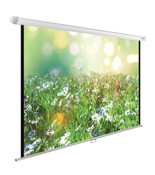 Экран Cactus 200x200 см WallExpert CS-PSWE-200x200-WT 1:1 настенно-потолочный рулонный