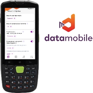 Программное обеспечение Неискл. право на исп-ие DataMobile версия Online Lite подписка на 12г (DMONLINELITE12M)