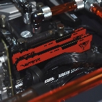 Оперативная память Patriot Viper Elite II, DDR4, 32GB (1x32 GB), 3600 MHz, CL20, DIMM, радиатор, красный, черный, фото6