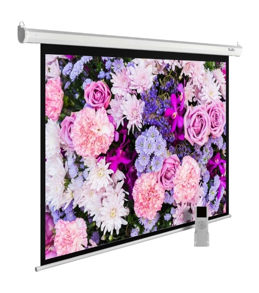 Экран Cactus 315x420 см MotoExpert CS-PSME-420x315-WT 4:3 настенно-потолочный рулонный белый (моторизованный привод)
