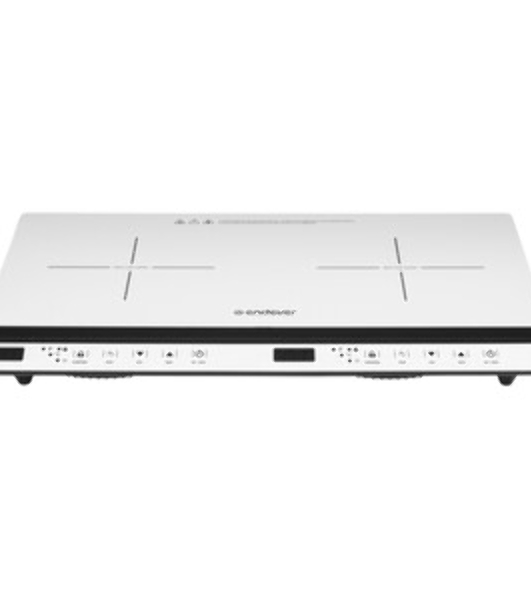 Плитка электрическая индукционного типа с двумя конфорками Endever Skyline IP-69, белый, мощность 1800 Вт+1300 Вт, диаметр посуды 12-26 см, 2 шт/уп