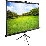 Экран Cactus 150x200 см TriExpert CS-PSTE-200х150-BK 4:3 напольный рулонный, фото2