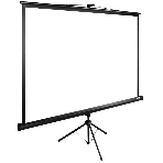 Экран Cactus 180x180 см TriExpert CS-PSTE-180x180-BK 1:1 напольный рулонный, фото 1