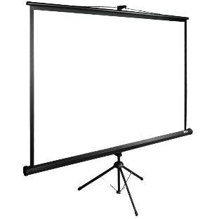 Экран Cactus 180x180 см TriExpert CS-PSTE-180x180-BK 1:1 напольный рулонный