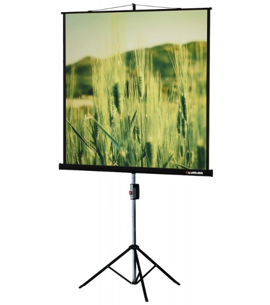Экраны LUMIEN LUMIEN Master Picture LMP-100101, 127х127 см, 1:1