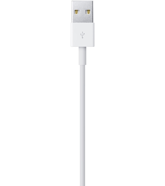 Кабель Apple для iPhone 5/5S MD819ZM/A (MD819ZM/A)