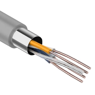 Кабель витая пара Rexant F/UTP cat.5e 2х2х24AWG solid CU PVC сер. (м)
