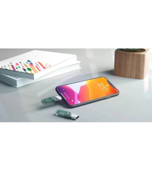 Флешка USB Sandisk IX90N iXpand Flip (SDIX90N-064G-GN6NN), 64Gb, USB 3.1/Lightning, R/W 150/70, зеленый/серебристый