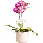 Светильник фито Cactus GARDEN светод. 7.5Вт цв.св.:белый (CS-LED-ORCHID), фото7