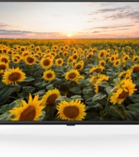 Телевизор Starwind 40' SW-LED40BG200 черный LED FHD 60Hz