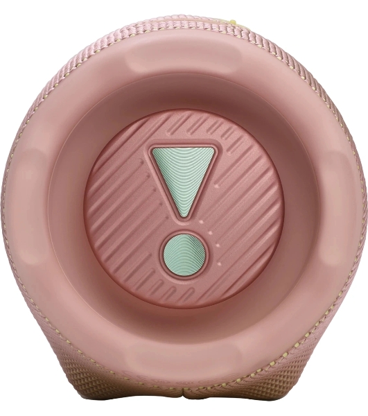 Портативная акустика JBLCHARGE6PINK розовый