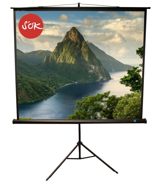 Экран 180x180см TriScreen 1:1 напольный рулонный черный 100'