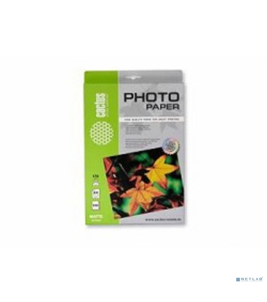 Фотобумага Cactus CS-MA4170100 матовая A4 170 г/м2 100 листов