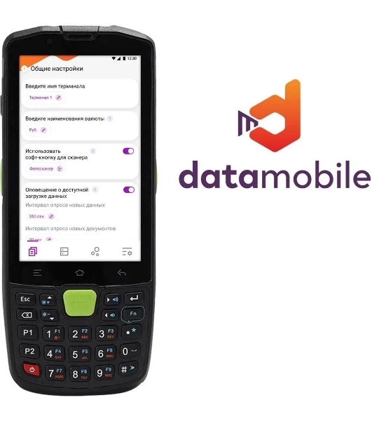 Программное обеспечение Неискл. право на исп-ие DataMobile версия Стандарт LifeTime (DM)