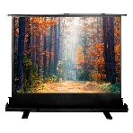 Экран Cactus 135x180 см FloorExpert CS-PSFLE-180X135 4:3 напольный рулонный, фото 1