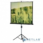 Экран на треноге Lumien 150x150 см Eco View LEV-100101 1:1 напольный рулонный, фото5