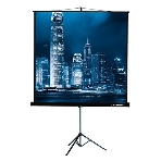 Экран на штативе Lumien Master View 244x244 см Matte White FiberGlass (LMV-100105), фото3