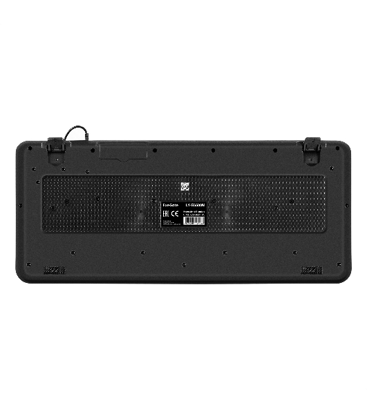 Клавиатура проводная ExeGate Professional Standard LY-E5500M, USB, черный