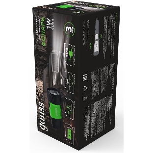 Фонарь ручной модель Gauss GFL103 1W 40lm NI-MH 250mAh LED 1/12/72