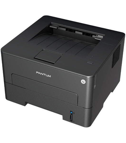 Принтер лазерный Pantum P3020D, А4, ч/б, печ. до 30 стр/мин., 600 x 600 dpi, USB, проектная модель