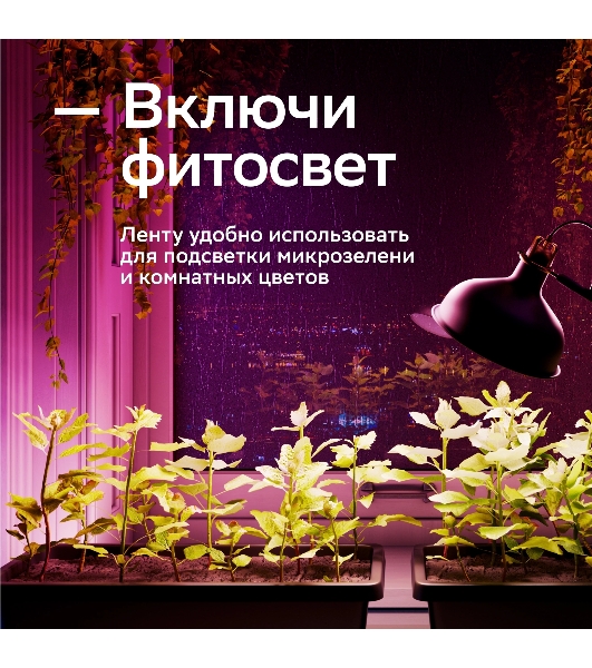 Лента светодиодная Sber SBDV-00038