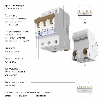 Автоматический выключатель Werkel 3P  25 A  C  6 kА W903P256, фото 1