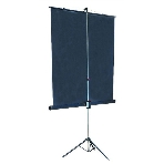 Экран на штативе Lumien Master View 244x244 см Matte White FiberGlass (LMV-100105), фото 1