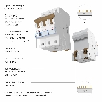 Автоматический выключатель Werkel 3P  16 A  C  6 kА W903P166, фото 1