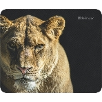 Коврик для мыши Defender Wild Animals и, 220x180x2 мм, 8 видов, фото 1